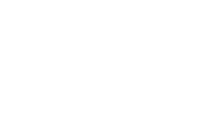 EMS white Logo