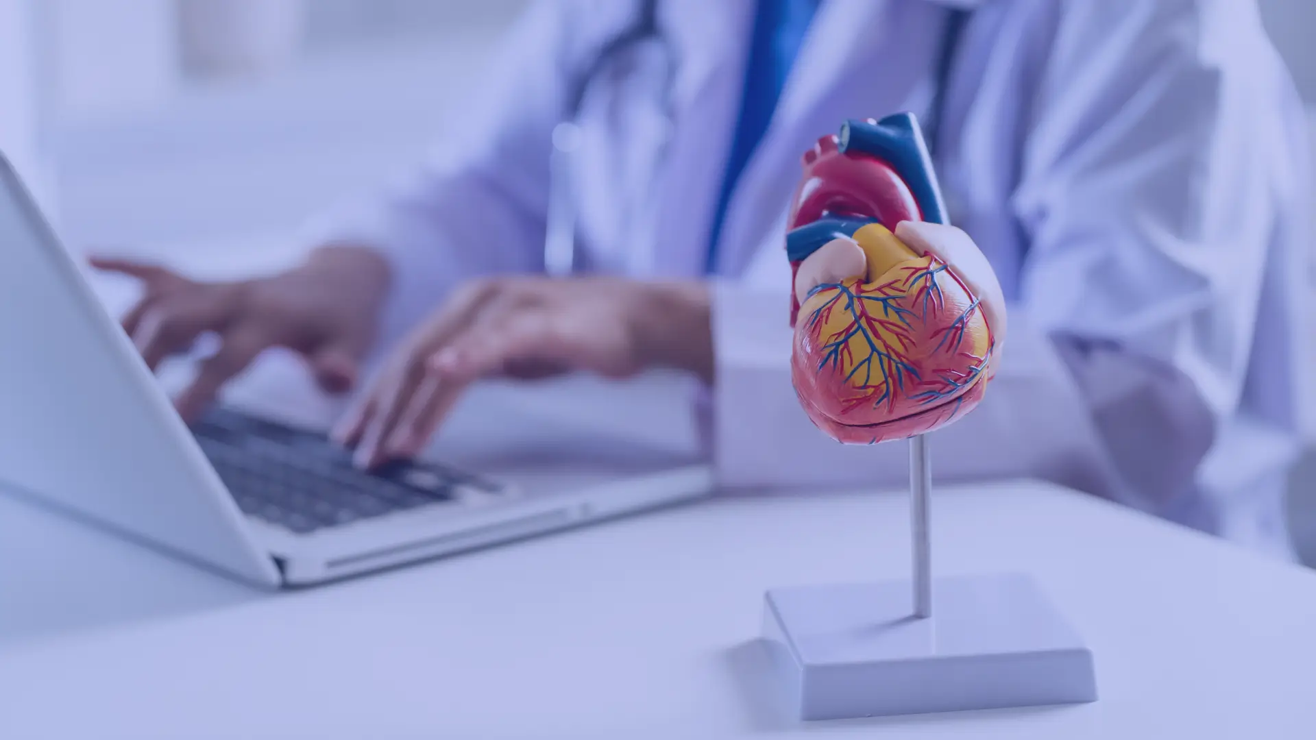 Compreendendo o Envelhecimento Vascular